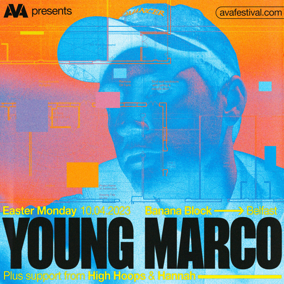 AVA Presents Young Marco